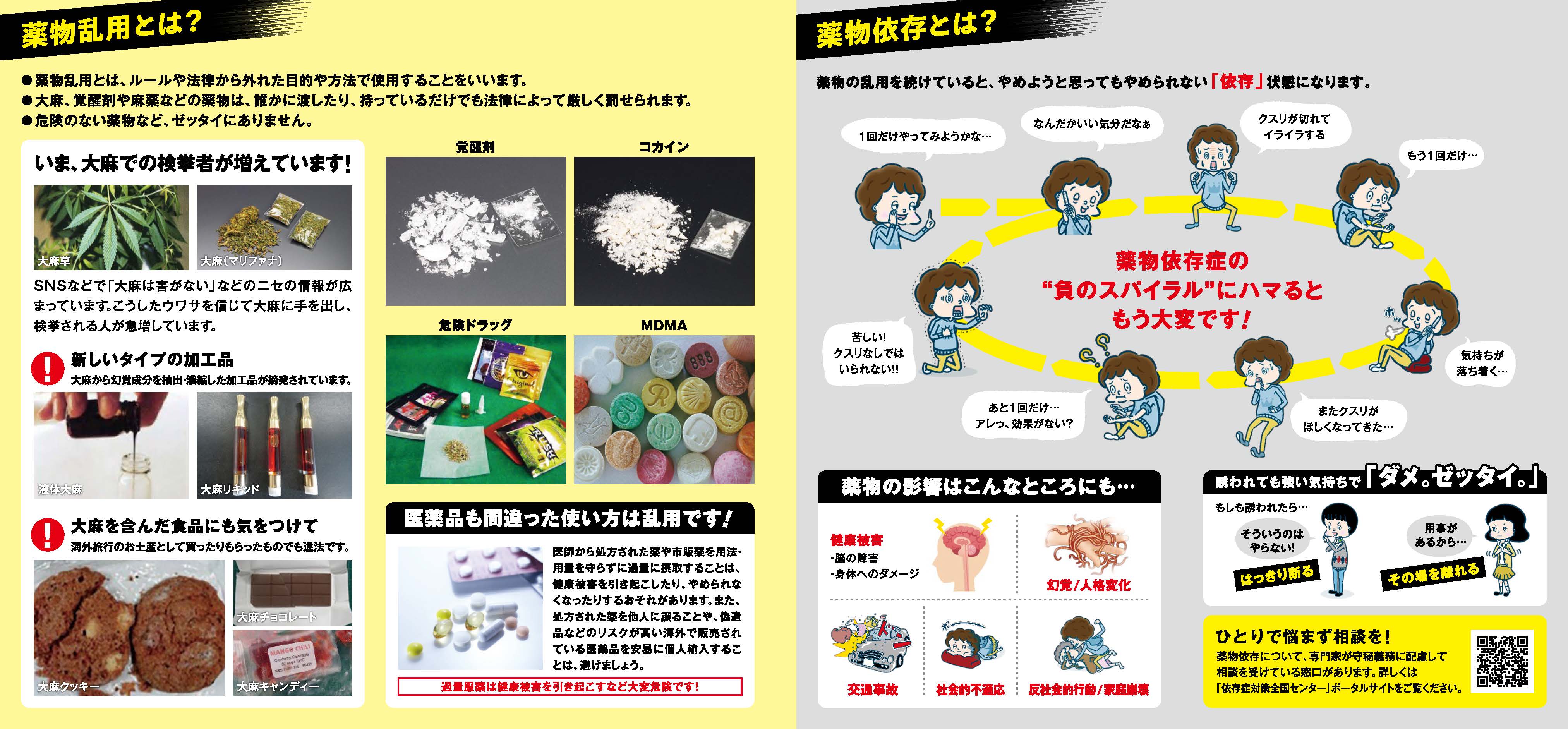 Dame2023_Leaflet_web_ページ_2.jpg